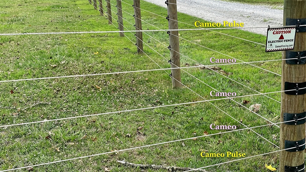 Electric CAMEO Horse Fence